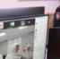 В Минмолодежи РД организовали прямой эфир для студентов по теме «О вреде наркомании» - Гумбетовский район