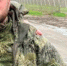 Алиев Салман из Гумбета награждён медалями Жукова и «За воинскую доблесть» - Гумбетовский район