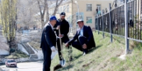 Акцию по посадке саженцев сосны, приуроченную к 80-летию Победы, провели в Гумбете - Гумбетовский район
